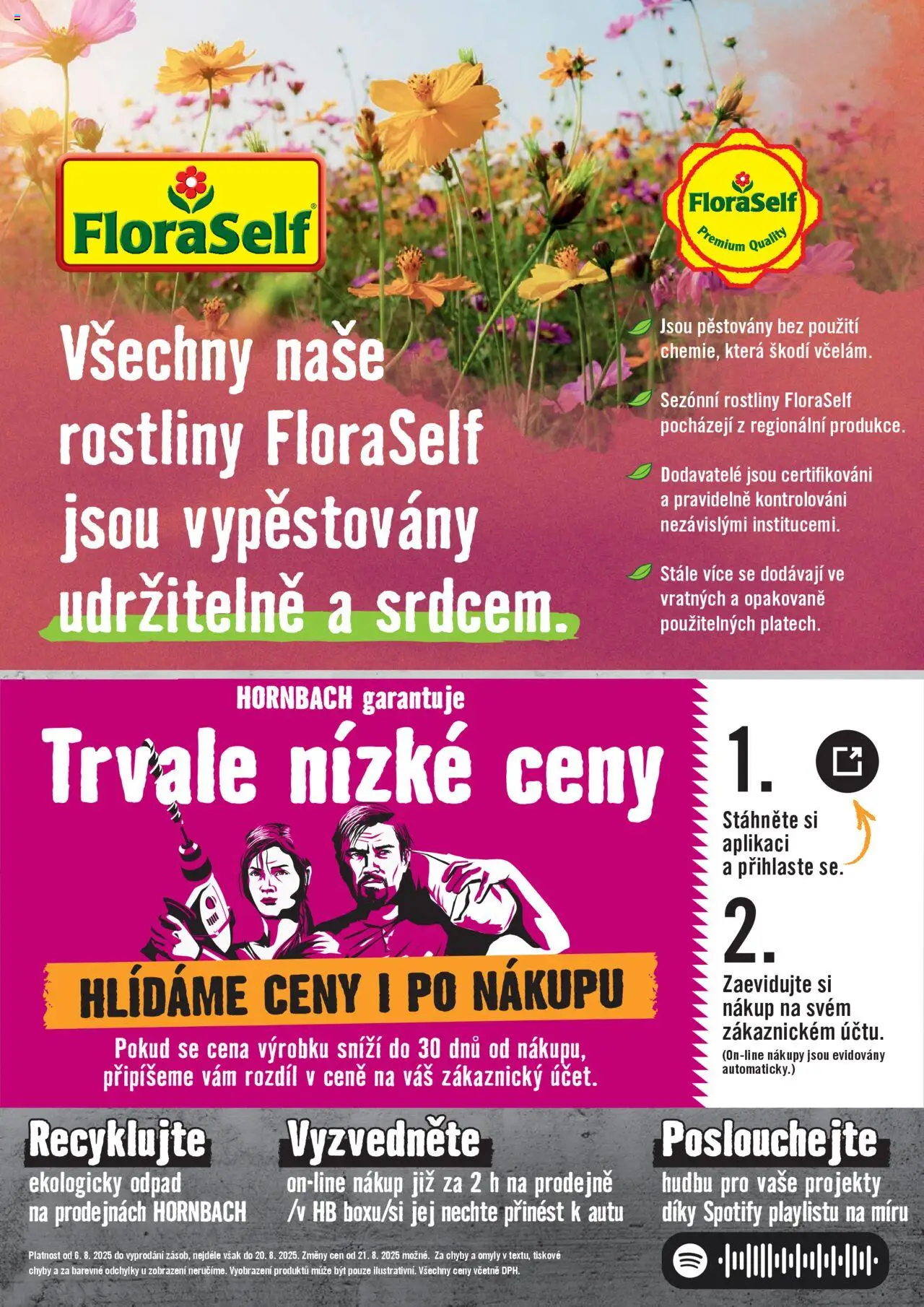 HORNBACH leták - Zelená střecha od 06.08.2025 | Strana: 8 | Produkty: Rostliny