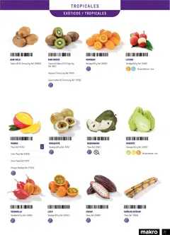 Vista previa Makro - Especial Frutas y Verduras Península válido desde el 05.01.2026 | Página: 71 | Productos: Kiwi, Ρούτερ, Bandeja, Φρυγανιές σικάλεως