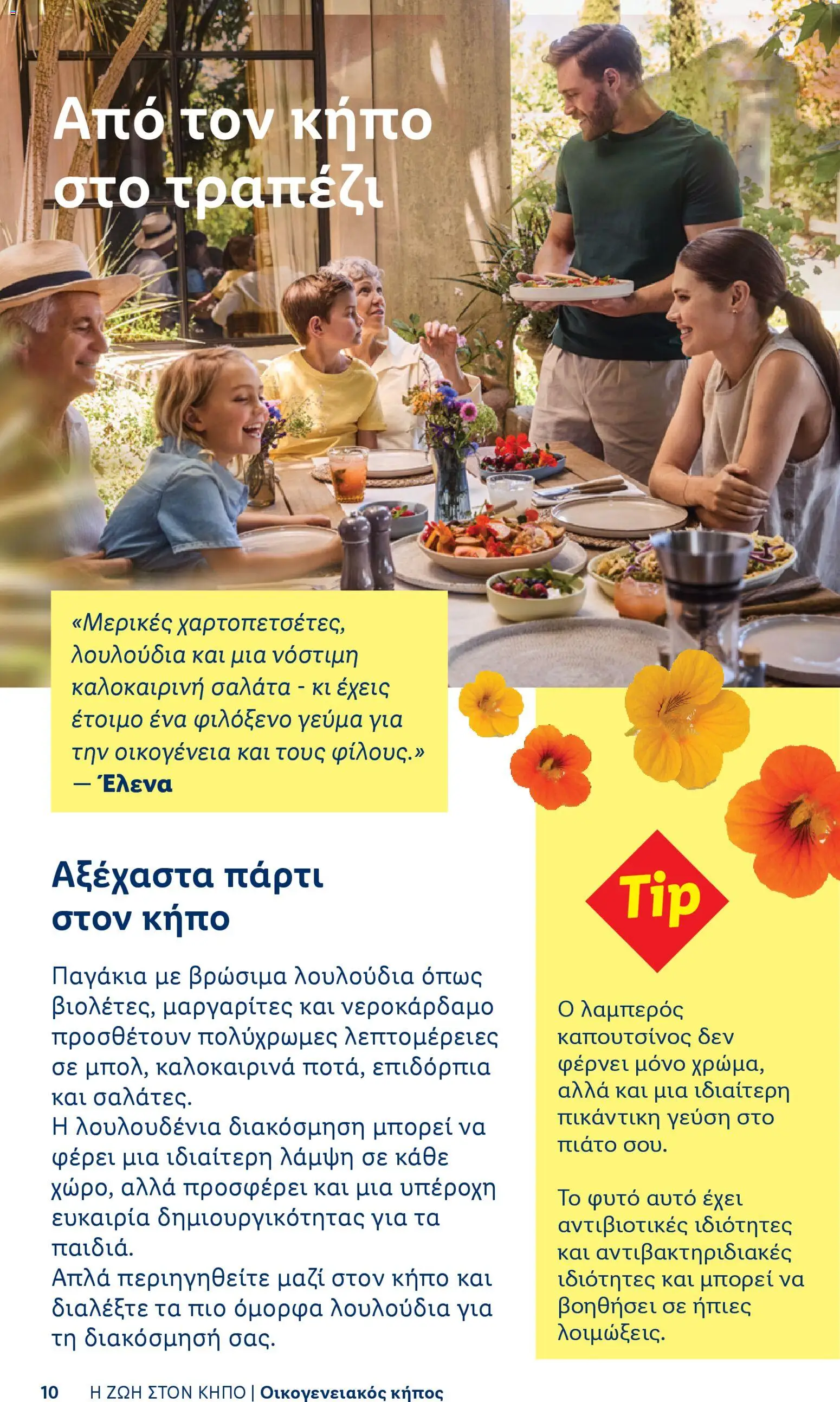  | Σελίδα: 10 | Προϊόντα: Πιάτο, Λουλούδια