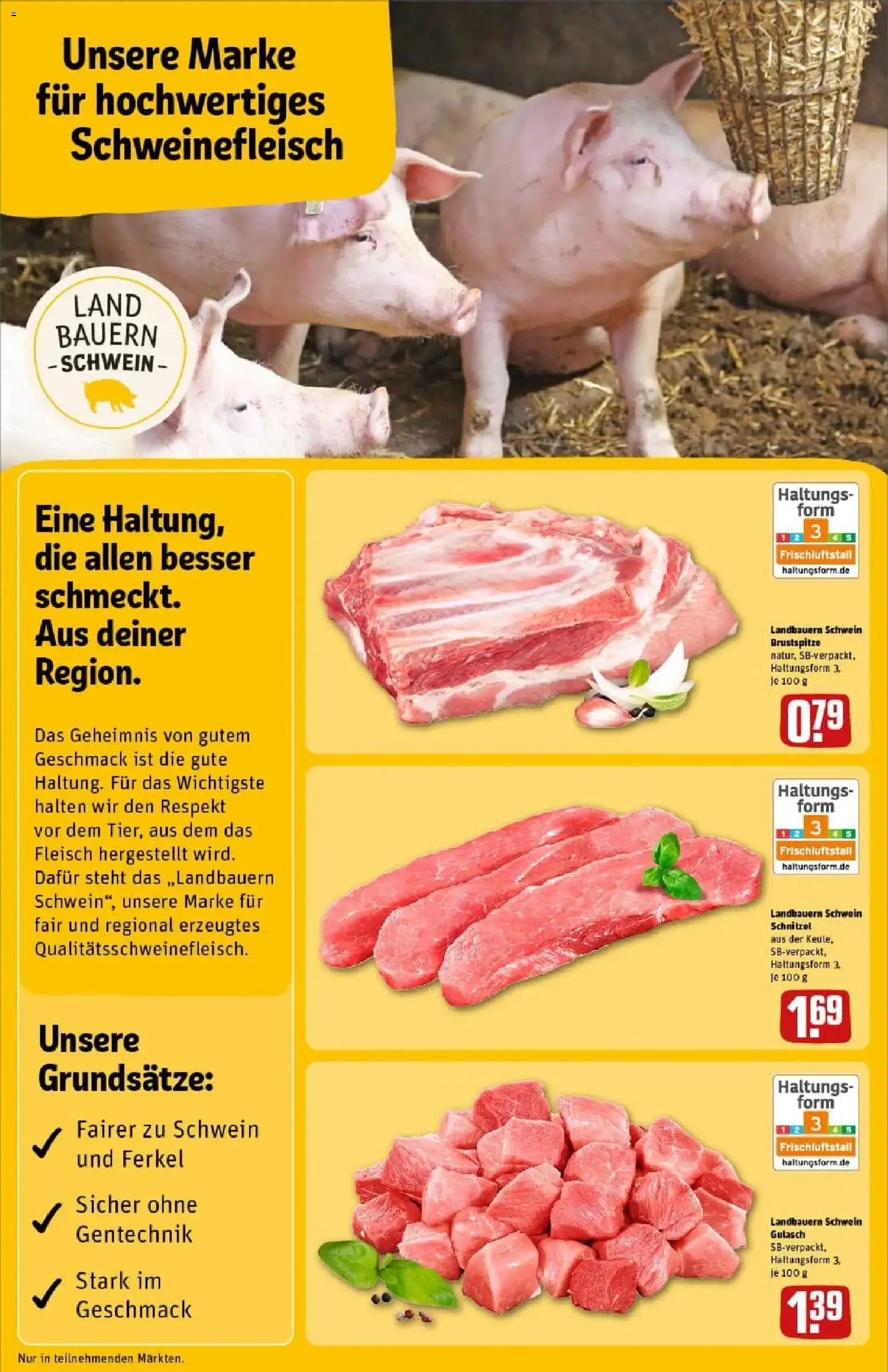Rewe prospekt Malsch/Kr. Karlsruhe	 – gültig ab 23.11.2025 | Seite: 10 | Produkte: Schnitzel, Gulasch, Schweinefleisch, Fleisch