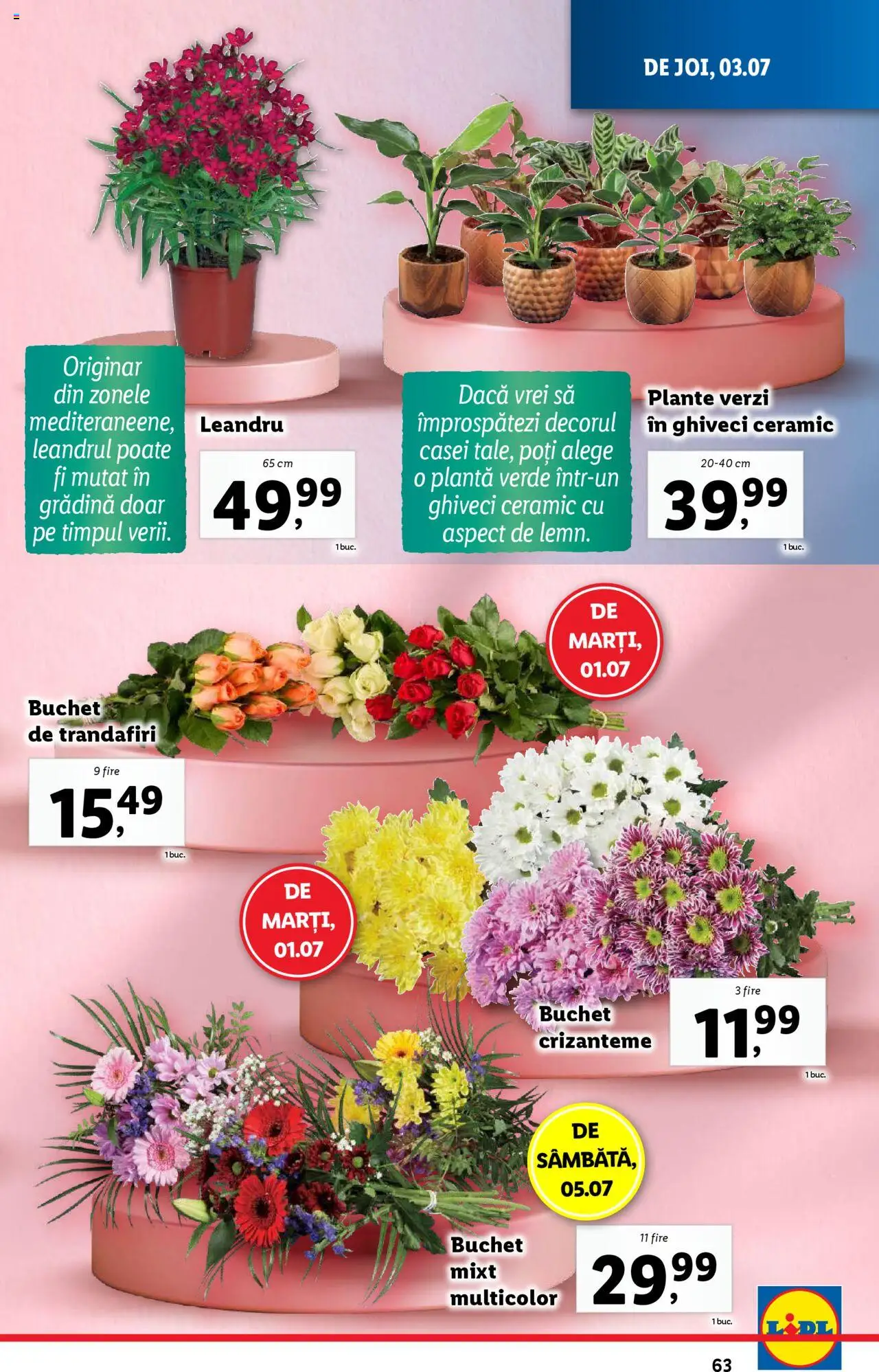 Catalog Lidl – valabil de la 30.06.2025 | Pagină: 63 | Produse: Ghiveci