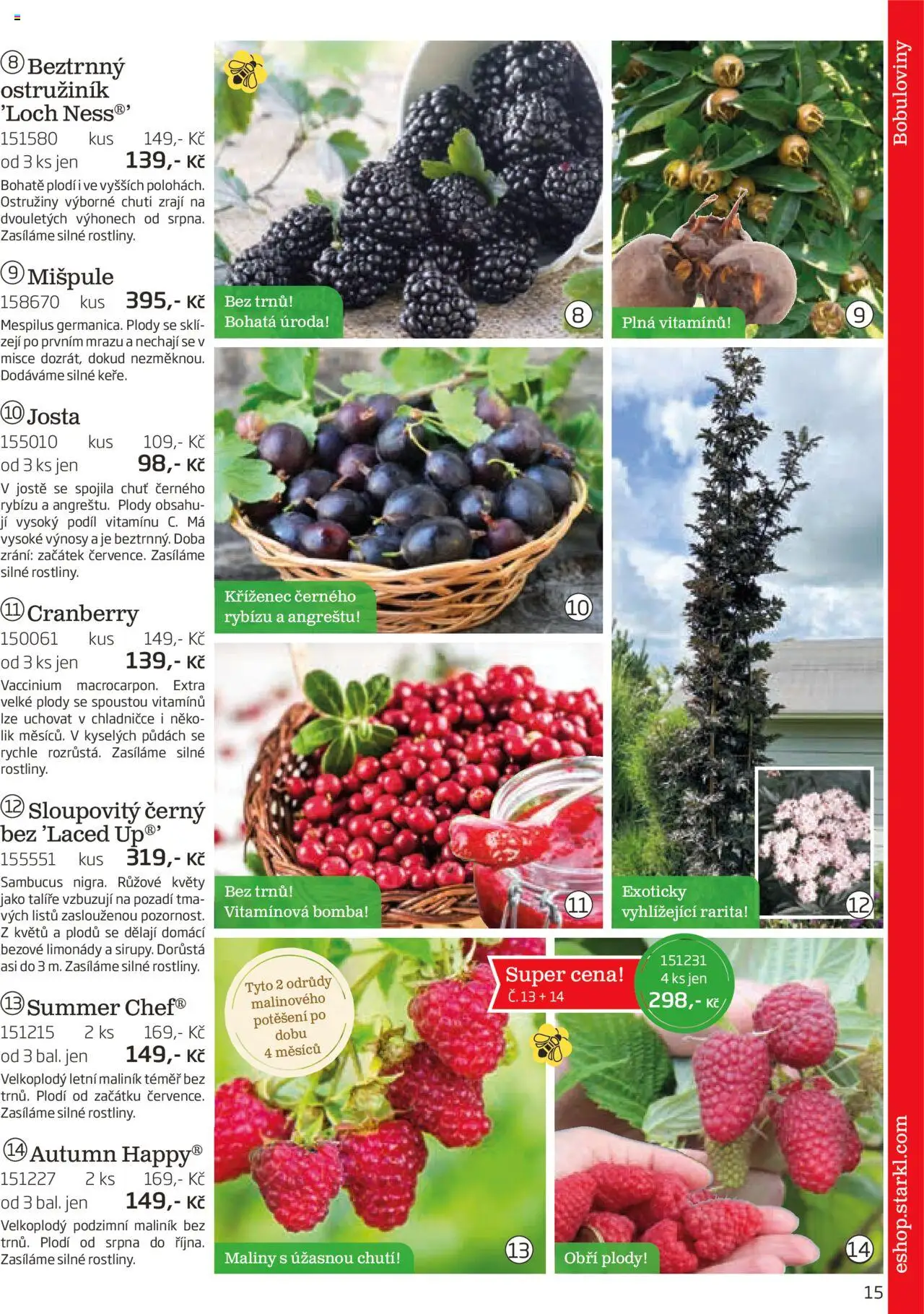 Starkl katalog podzim 2025 od 01.08.2025 | Strana: 15 | Produkty: Talíře, Maliny