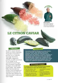 Grand Frais - Prévisualisation de Grand Frais catalogue valide à partir de 01.12.2025 | Page: 69 | Produits: Citron, Volaille, Caviar