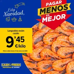 Vista previa Cash Fresh folleto válido desde el 23.12.2025