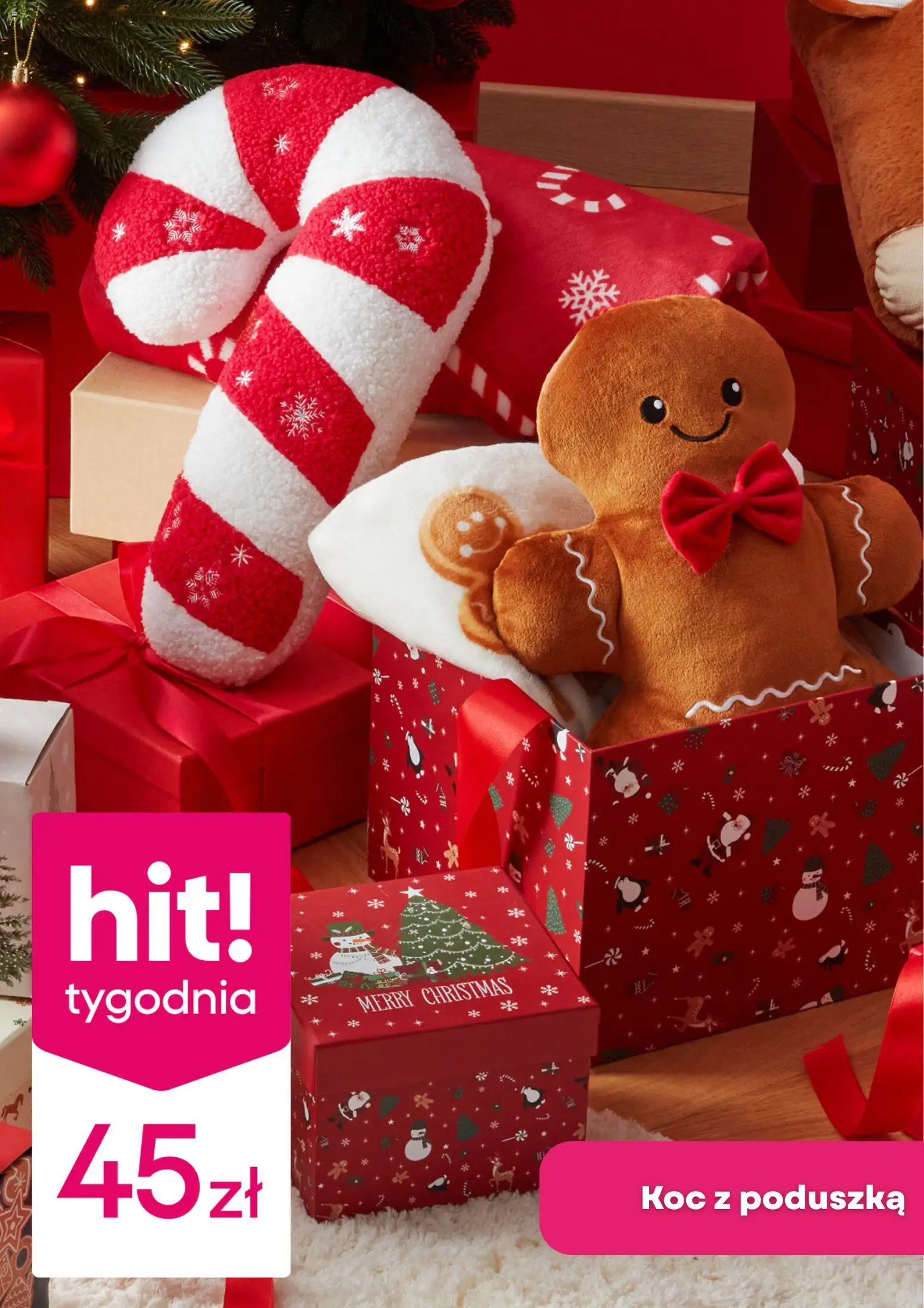 Pepco Gazetka od 11.12.2025 | Strona: 3 | Produkty: Poduszka, Koc