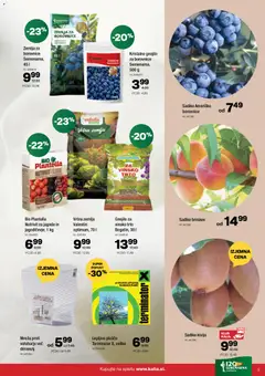 Kalia katalog akcije – veljaven od 02.03.2026 | Stran: 5 | Izdelki: Žemlja, Borovnice, Jagode, Breskev