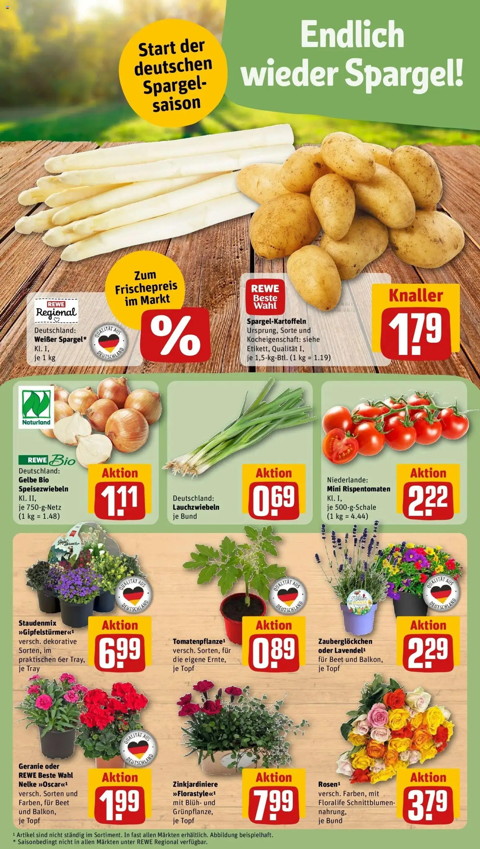 Rewe Prospekt Essen	 – gültig ab 13.04.2026 | Seite: 5 | Produkte: Spargel