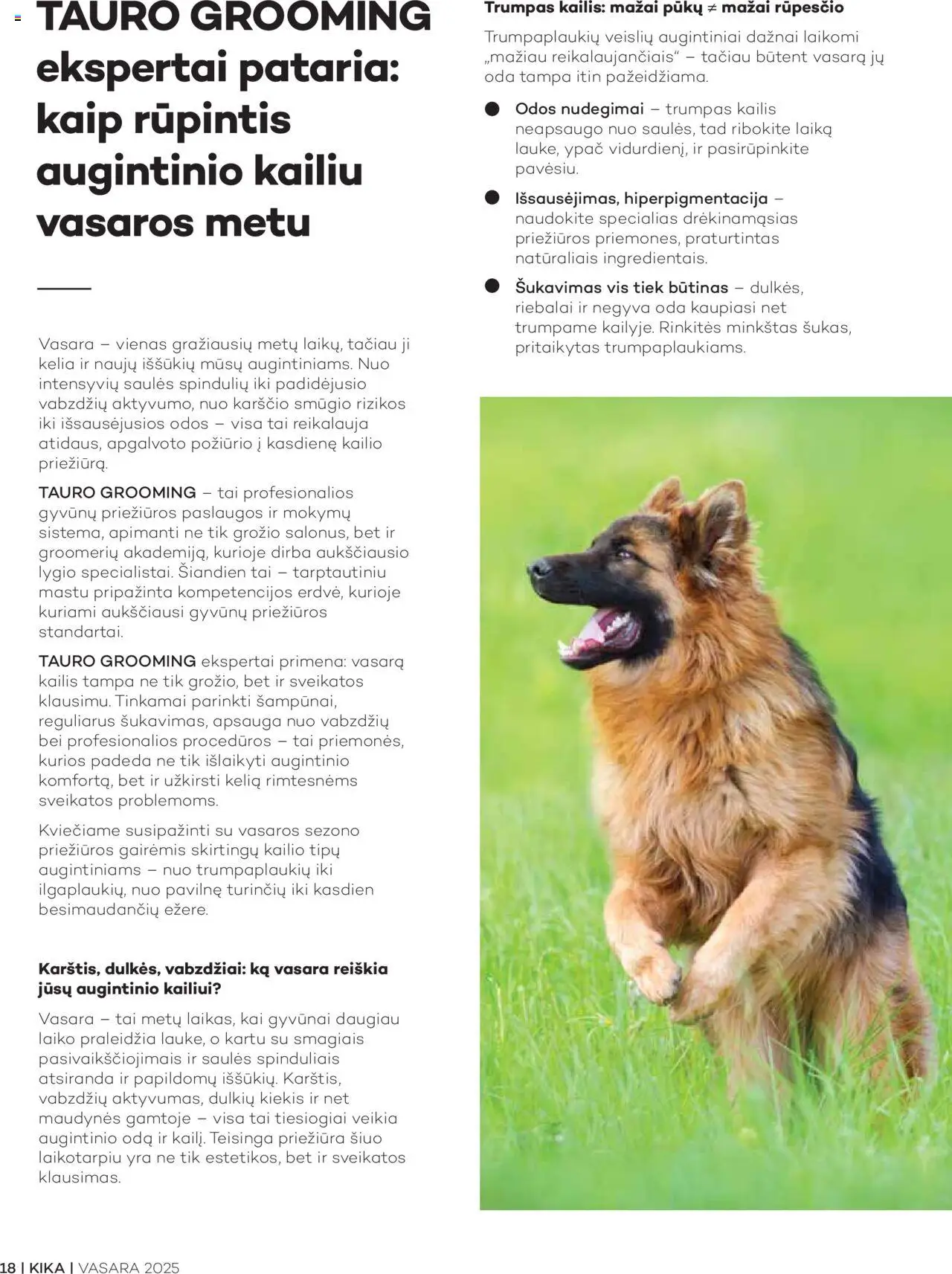 KIKA - Žurnalas Vasara │galioja nuo 13.08.2025 | Puslapis: 20