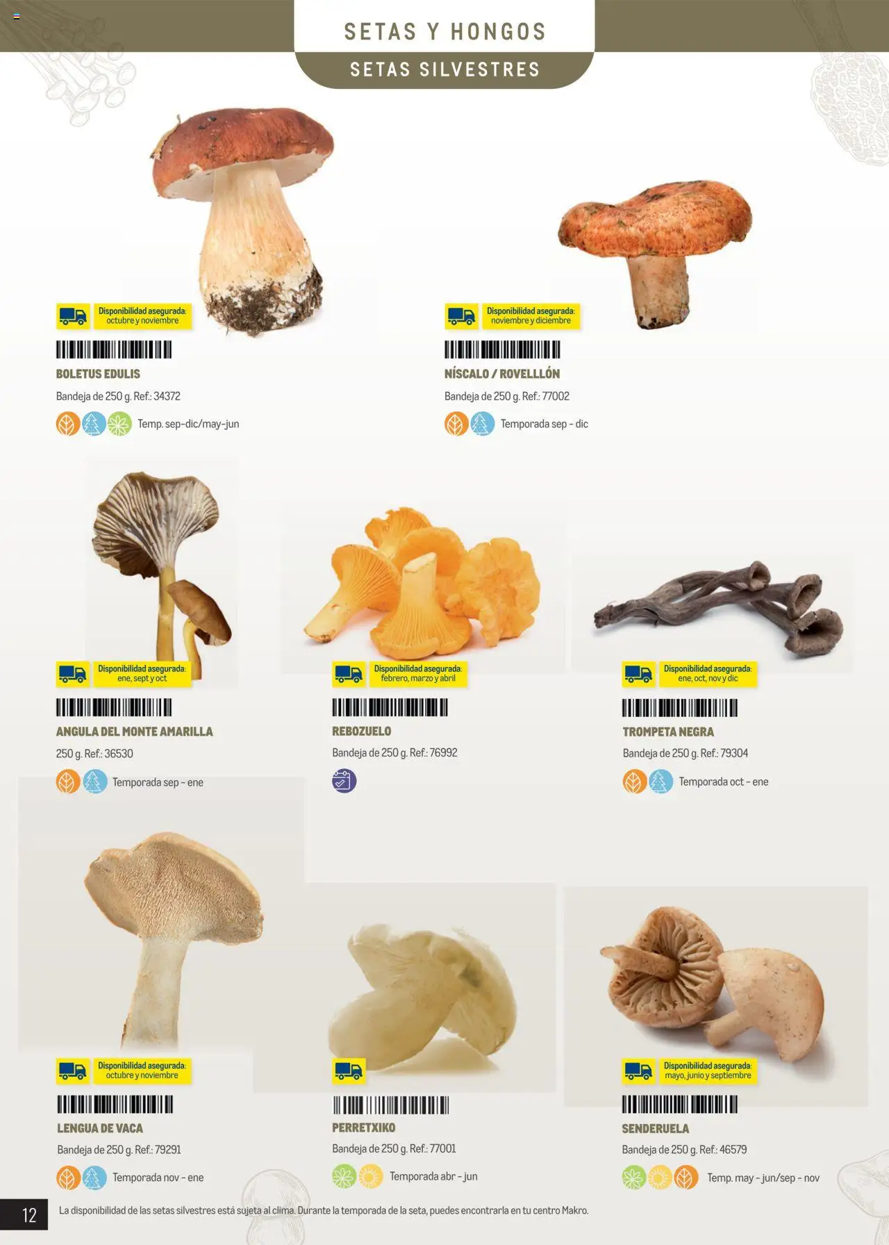 Makro - Trufas y setas │ válido desde el 04.03.2025 | Página: 12 | Productos: Bandeja
