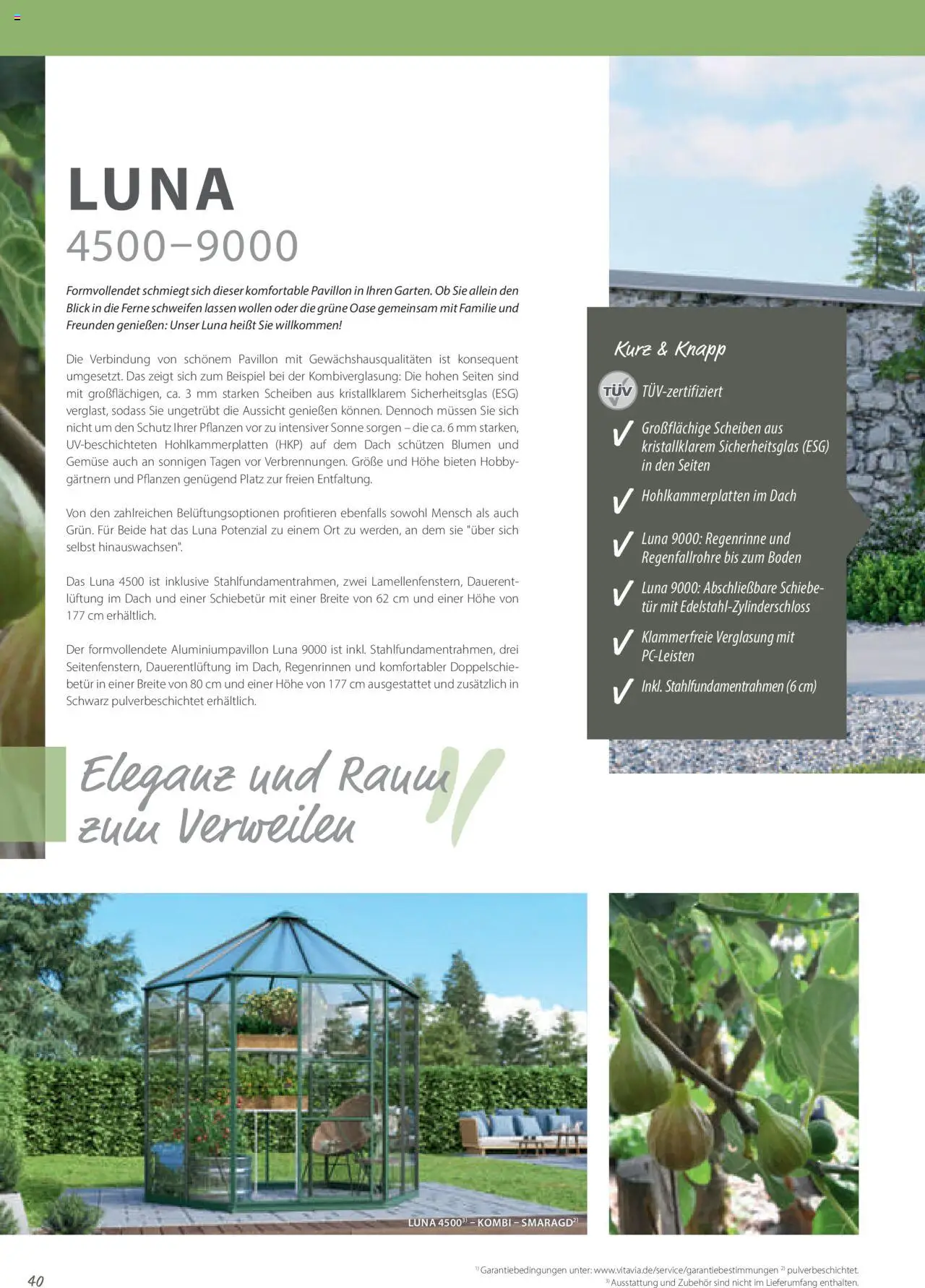 Dehner EPH – Gärtnern & Leben gültig ab 30.12.2024 | Seite: 40 | Produkte: Gemüse