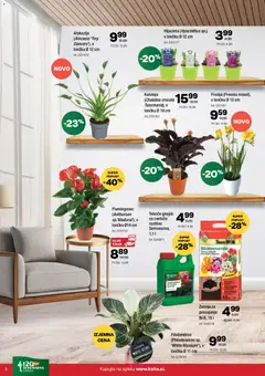 Kalia katalog akcije – veljaven od 02.03.2026 | Stran: 8 | Izdelki: Žemlja