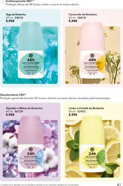 Algodão e Malva da Bretanha, 50 ml Deodorant Algodão e Malva da Bretanha │ válido de 28.08.2025 | Página: 61 | Produtos: Algodão, Hortelã, Desodorizante, Antitranspirante