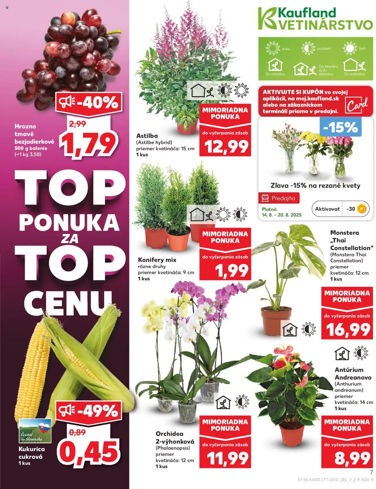 Kaufland SK akciós ujság - amely érvényes a következő dátumtól: 14.08.2025 | Oldal: 7 | Termékek: Orchidea, Monstera