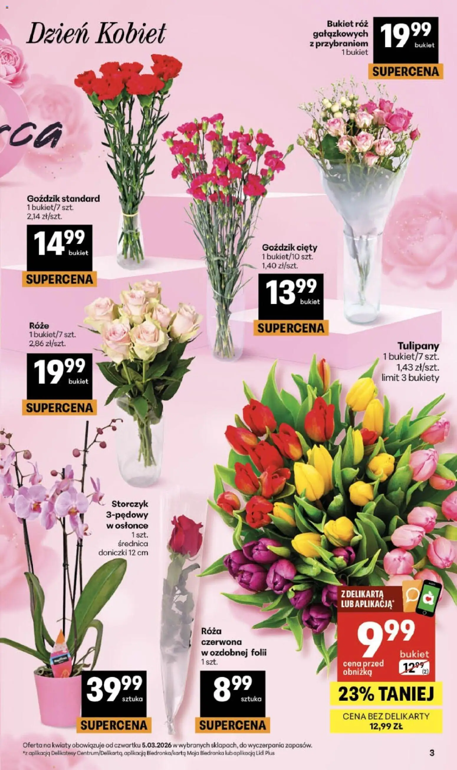 Delikatesy Centrum gazetka od 05.03.2026 | Strona: 3 | Produkty: Goździk, Doniczki, Róż, Storczyk