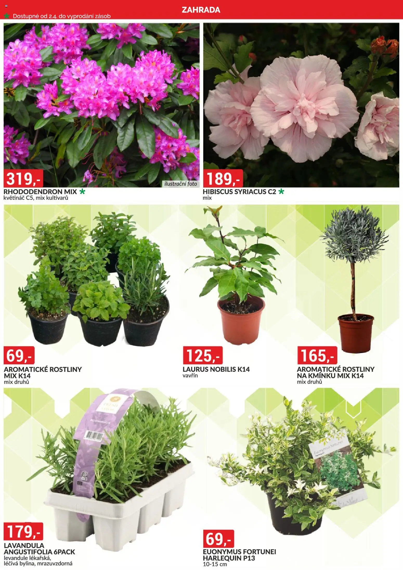 BAUMAX leták od 01.04.2026 | Strana: 4