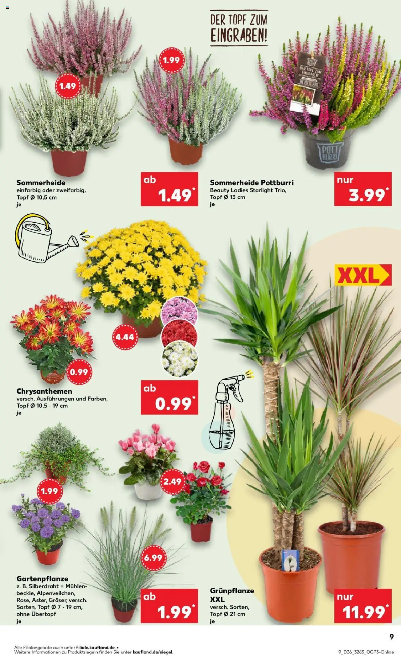 Kaufland prospekt Berlin	 – gültig ab 07.09.2025 | Seite: 9