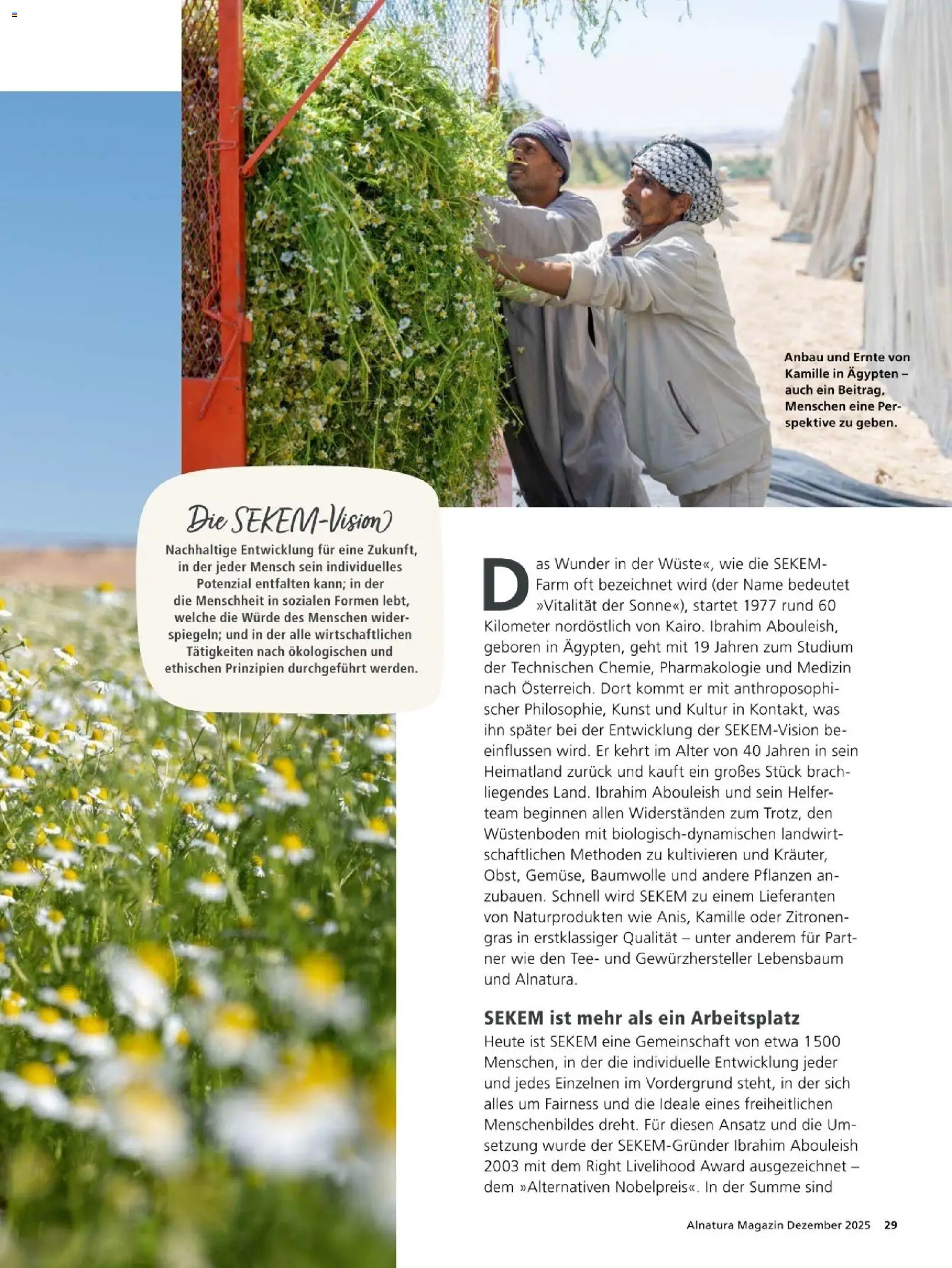 Alnatura Prospekt – gültig ab 01.12.2025 | Seite: 29