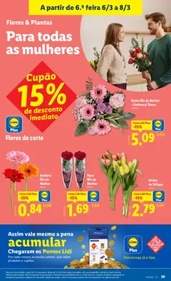 Pré-visualização Gerbera Dia da Mulher, Gerbera for Women's Day. válido de 02.03.2026 | Página: 29 | Produtos: Flores