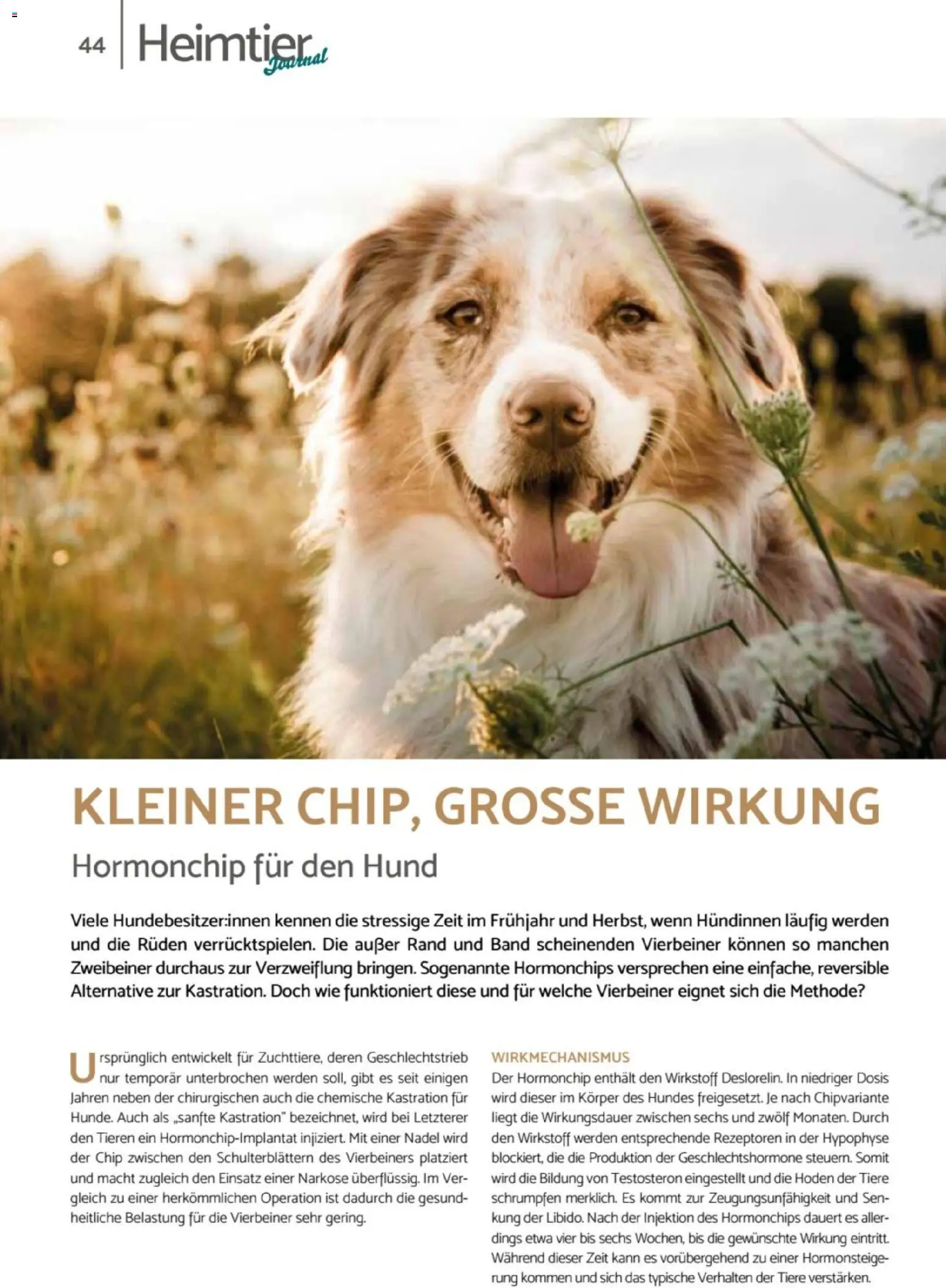 zookauf - Heimtier Journal – gültig ab 01.12.2025 | Seite: 44