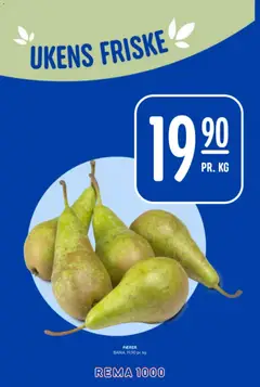 Forhåndsvisning av Rema 1000 kundeavis gyldig fra 27.10.2025 | Side: 10