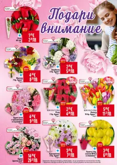 Преглед на Лалета 3 бр. саксия Ф10,5 в опаковка**, 1 бр. - Офертите са валидни от 05.03.2026 | Страница: 6