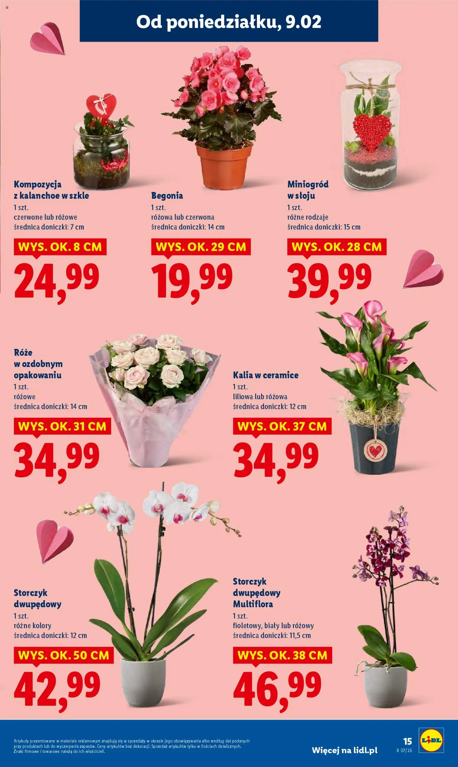 Lidl Gazetka od 09.02.2026 | Strona: 15