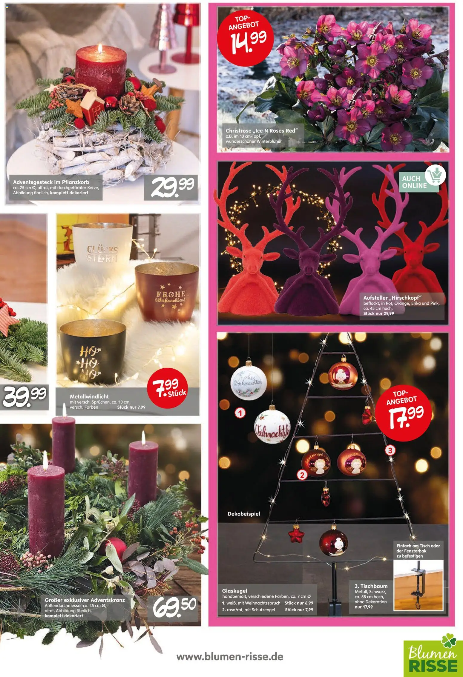 Blumen Risse Prospekt Gartencenter – gültig ab 13.11.2025 | Seite: 3 | Produkte: Top, Tisch, Blumen