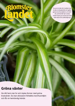Blomsterlandet - erbjudanden - Förhandsvisning av reklamblad från butik Blomsterlandet aktuell från 11.08.2025