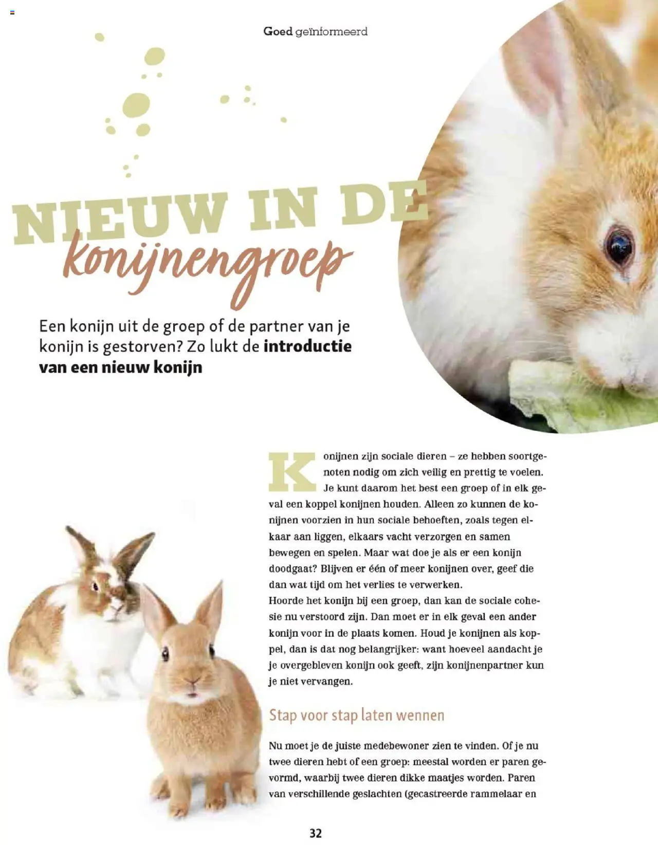 {H1} | Pagina: 32 | Producten: Cordon bleu, Noten, Kan