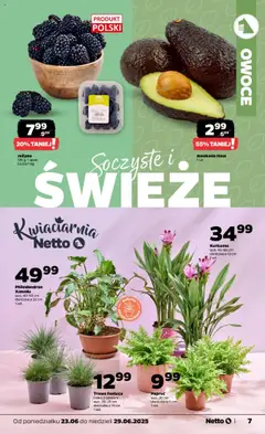 Netto gazetka - Spożywcza od 23.06.2025 | Strona: 7 | Produkty: Kurkuma, Paproć, Doniczka, Awokado