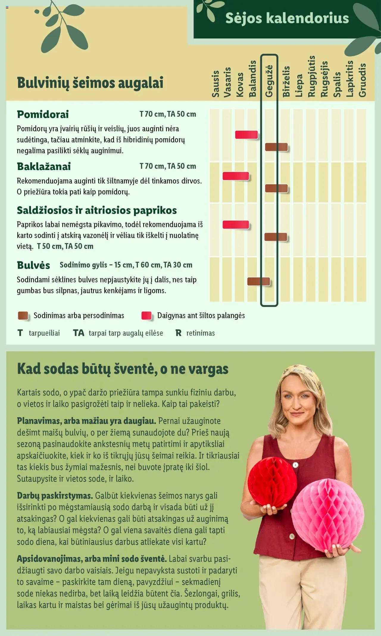 LIDL leidinys - Švenčiame sodą│galioja nuo 12.05.2025 | Puslapis: 7 | Prekių: Bulvės, Pomidorai