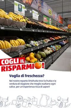 Anteprima del volantino Mango, Fresh mangoes valido a partire dal 12.01.2026 | Pagina: 63