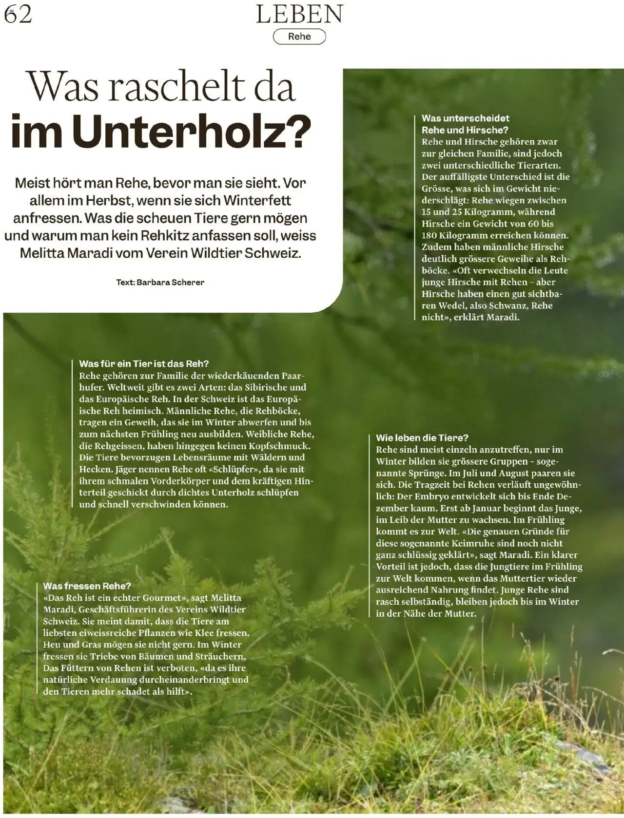 Migros Magazin – gültig ab 22.09.2025 | Seite: 62 | Produkte: Melitta, Bilden, Gewicht