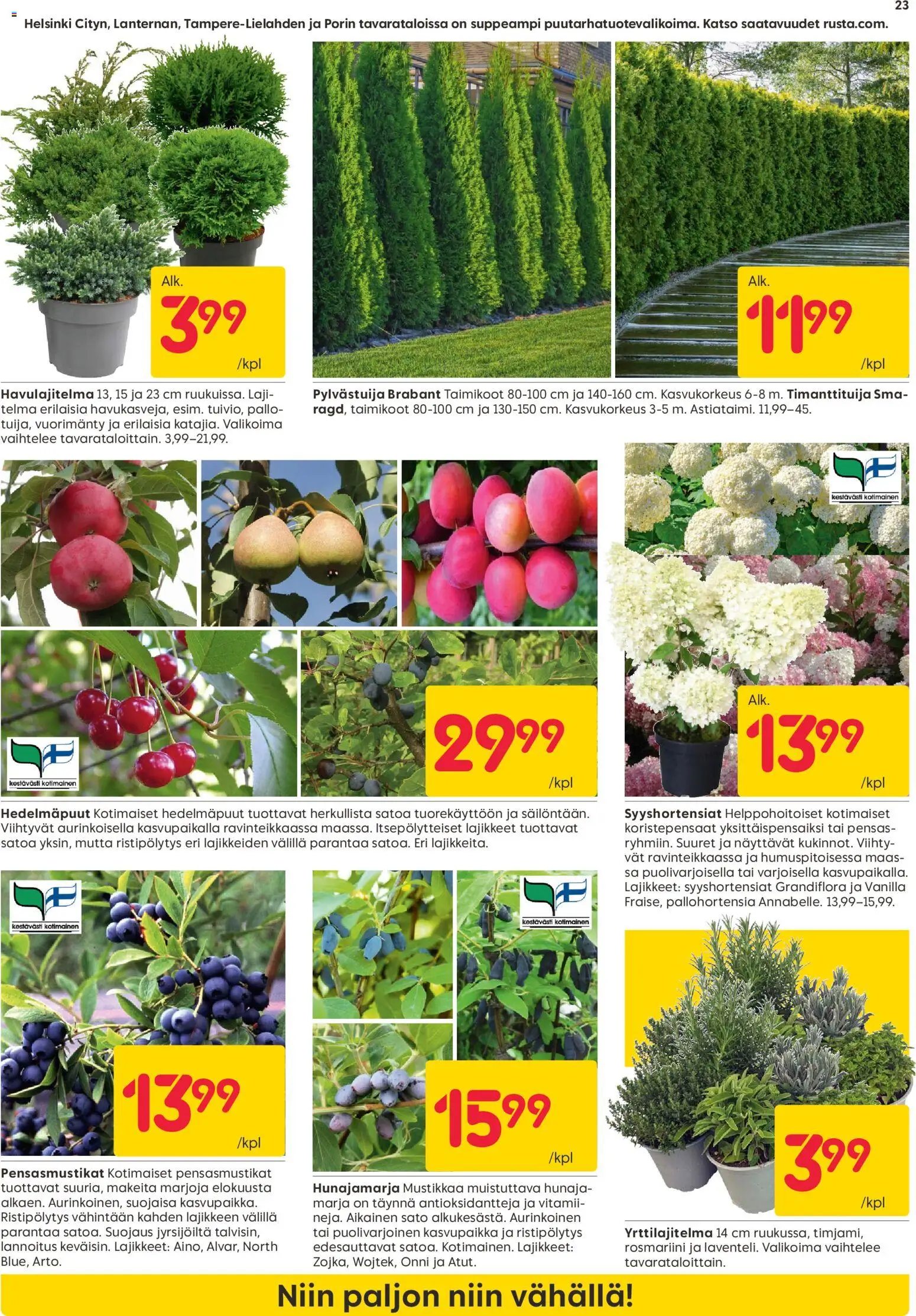 Rusta tarjoukset – voimassa 27.04.2026 alkaen | Sivu: 23 | Tuotteet: Hedelmäpuut, Hunaja