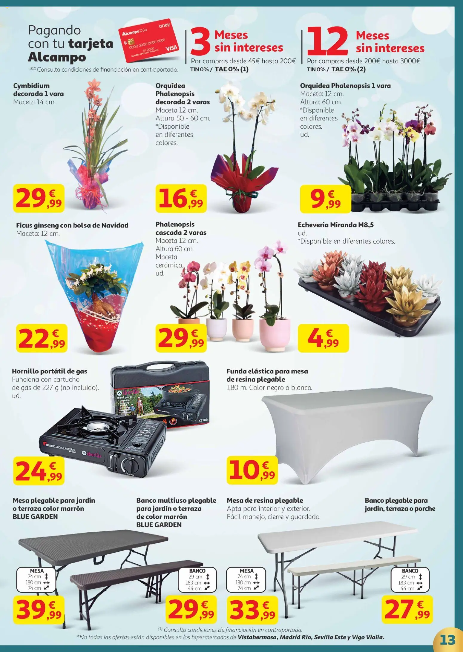 Alcampo - Canarias │ válido desde el 18.12.2025 | Página: 13 | Productos: Funda, Bolsa, Cocina, Maceta