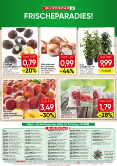 Eurospar Flugblatt - Burgenland gültig ab 11.09.2025 | Seite: 16 | Produkte: Obst, Bad