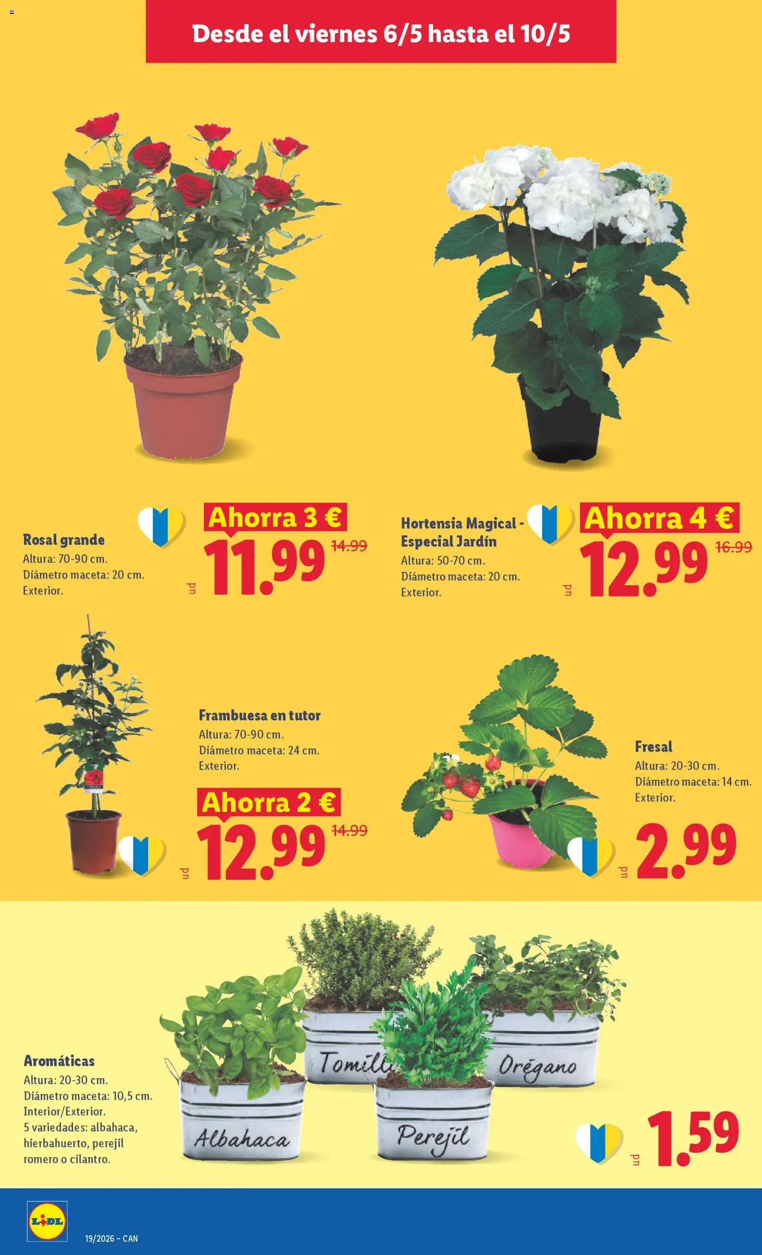 Lidl folleto │ válido desde el 04.05.2026 | Página: 50 | Productos: Maceta