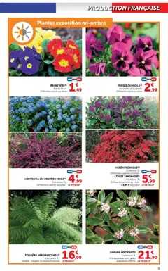 Super U - Prévisualisation de Super U - Le jardin à prix bas valide à partir de 17.02.2026 | Page: 5 | Produits: Hortensia, Plantes
