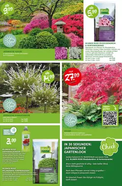 Blumen Risse Prospekt 	 ab 16.04.2026 gültig | Seite: 9 | Produkte: Pflanzerde, Blumen, Obst