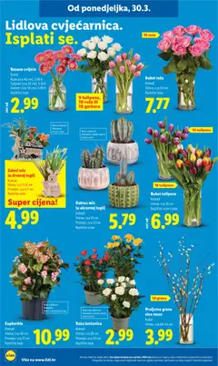 Katalog Lidl - Pregled kataloga iz trgovine Lidl, vrijedi od 30.03.2026 | Stranica: 42
