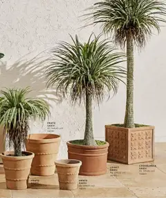 01.01.2026 tarihinden itibaren geçerli olan Mudo kataloğu önizlemesi | Sayfa: 11