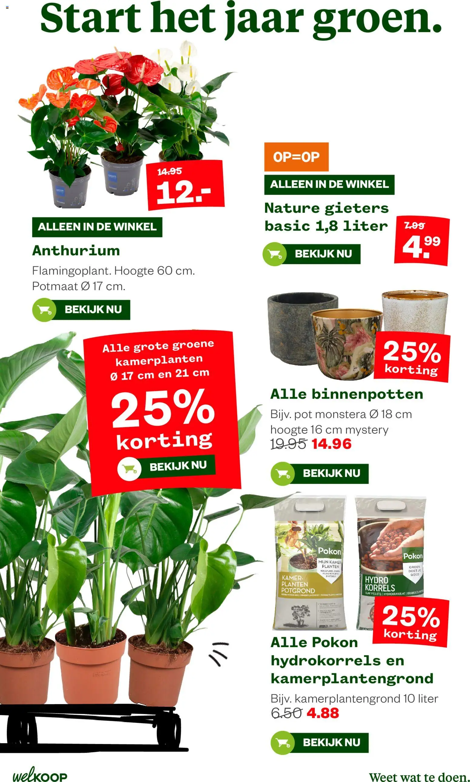 {H1} | Pagina: 10 | Producten: Pot, Kamerplanten