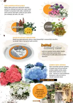 Náhled letáku HORNBACH leták - Zahrada od 01.01.2026 | Strana: 25 | Produkty: Rostliny, Květiny, Vyvýšený záhon, Barvy