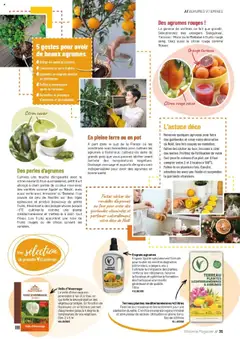 VillaVerde - Prévisualisation de VillaVerde catalogue valide à partir de 19.09.2025 | Page: 35