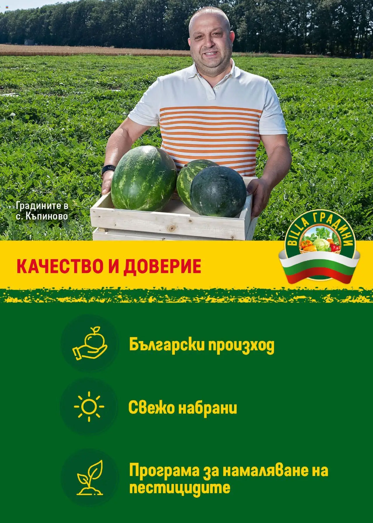  | Страница: 11