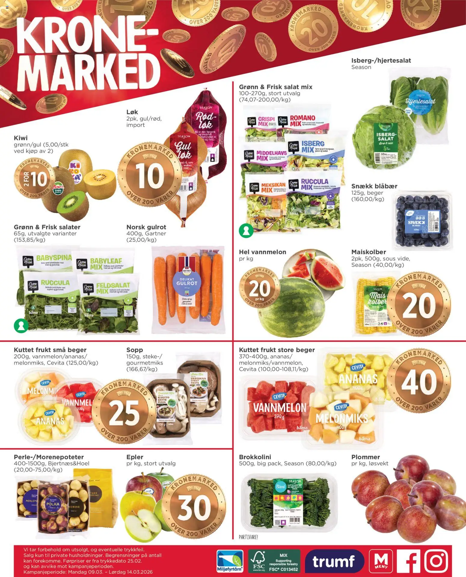 {H1} | Side: 8 | Produkter: Ananas, Kiwi, Salat, Blåbær