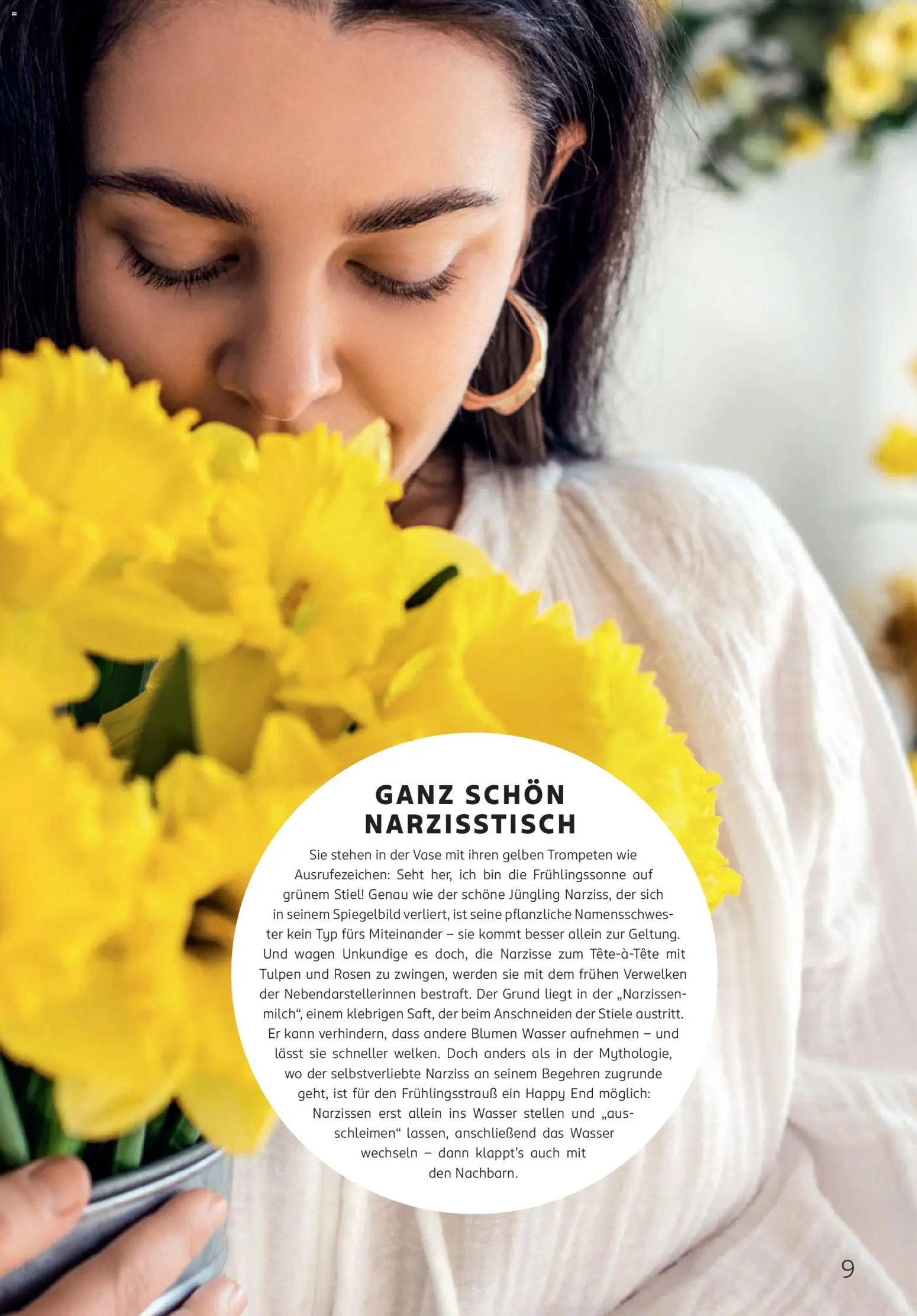 Rossmann Centaur | 01.04.2026 | Wie erhält man einen begrenzten Rabatt? | Deutschland