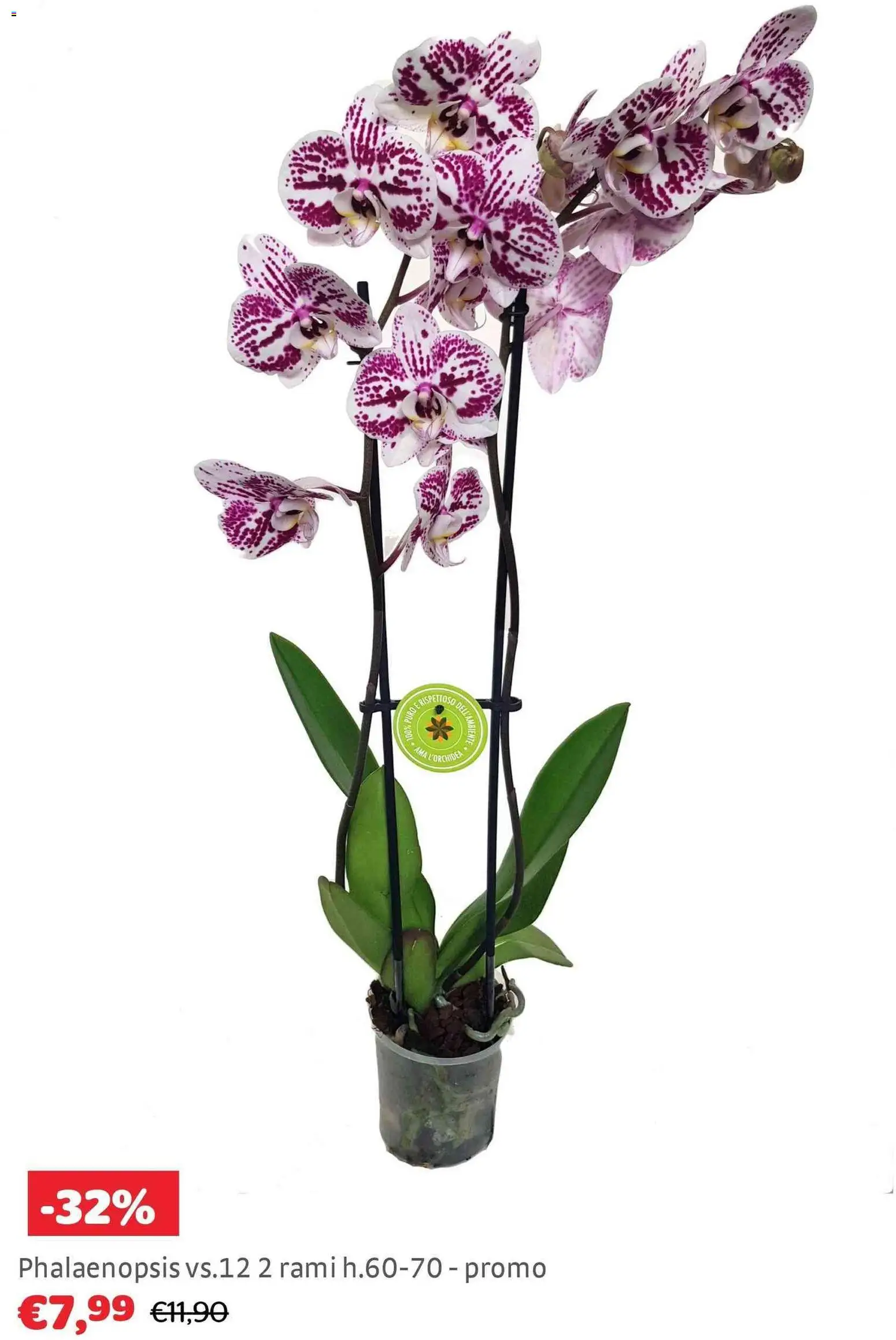 Volantino Brico Center del 02.01.2026 | Pagina: 23