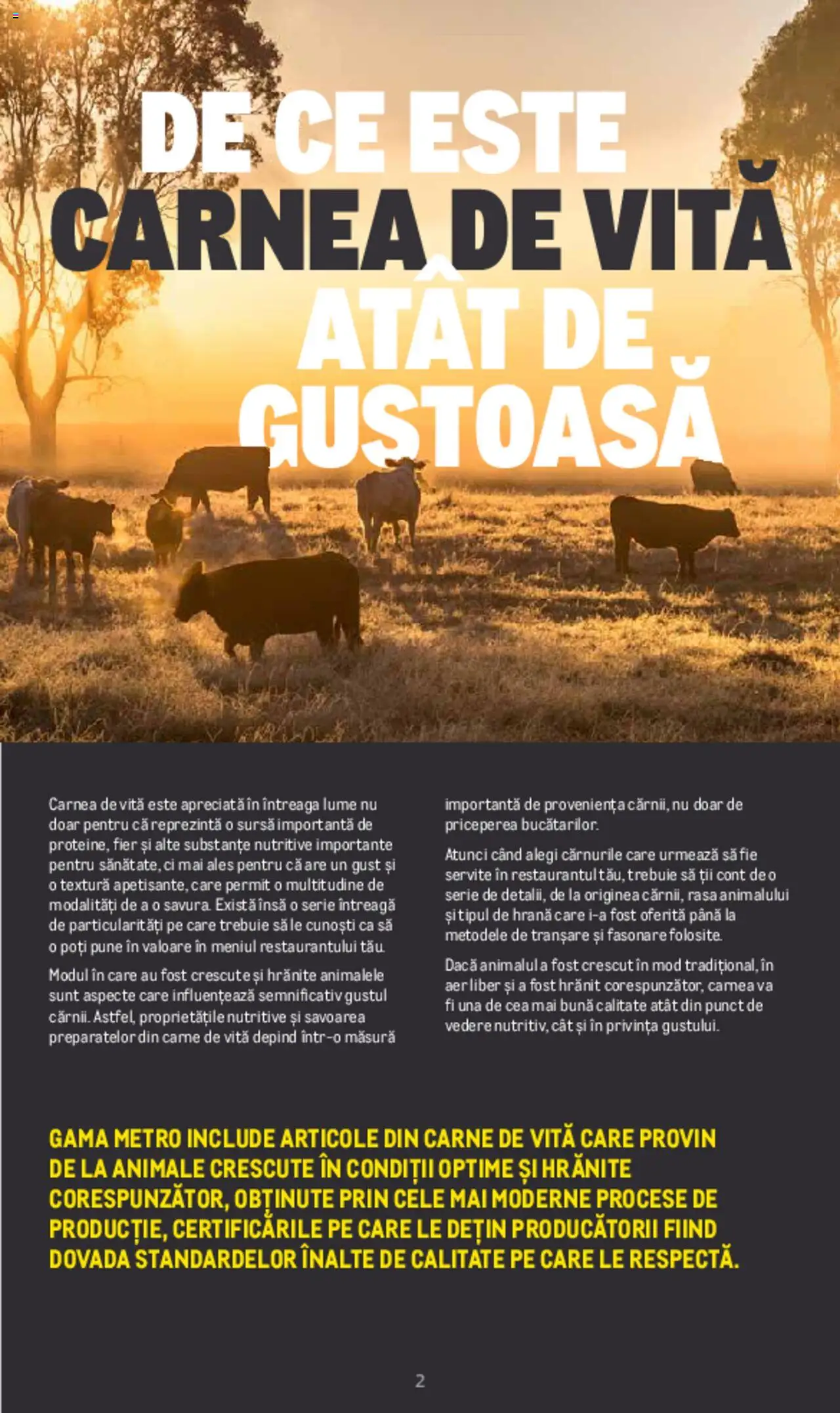 Noul catalog Metro – valabil de la 20.06.2022 | Pagină: 2 | Produse: Carne De Vită