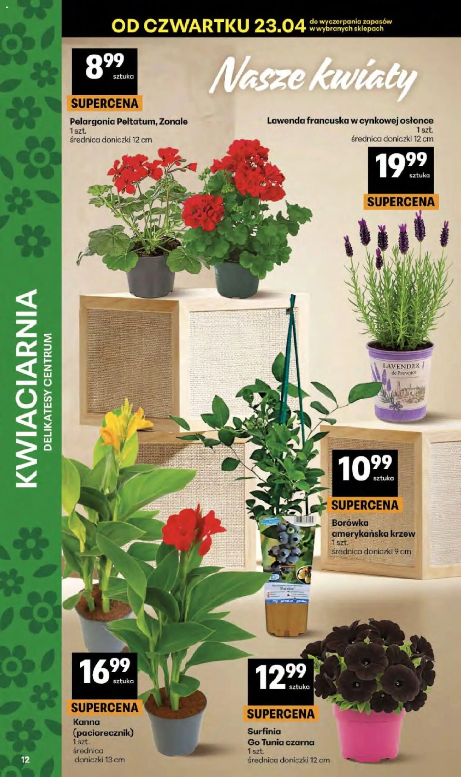 Delikatesy Centrum gazetka - Sklepy Własne od 23.04.2026 | Strona: 12 | Produkty: Borówka amerykańska, Delikatesy, Doniczki, Kwiaty
